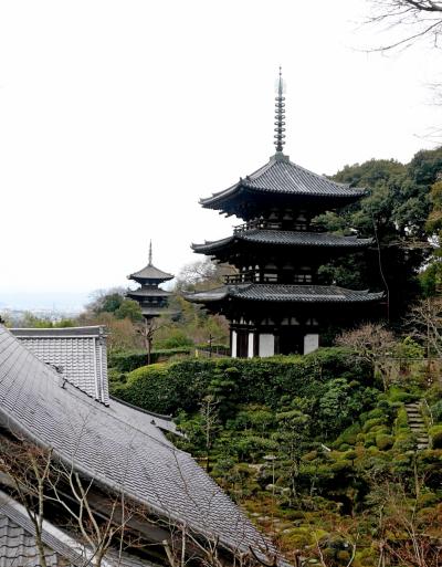 2015.3大阪出張　當麻寺を訪ねる3終-當麻寺，西南院，奥院　帰京