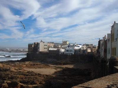 スペイン~モロッコ 2013-2014 マラケシュ⇔エッサウィラ