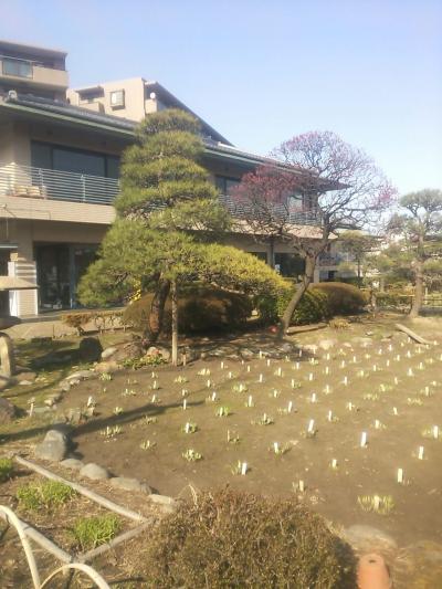 残る銭湯銀座♪は“生きている銭湯博物館”