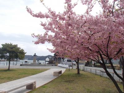 河津桜と菜の花めぐりの伊豆旅3(下田編)