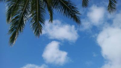 小学生連れ家族3人ハワイ旅行①