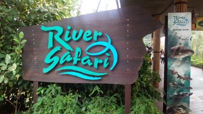 2泊5日 シンガポールに癒やされに行く旅 2015(その1)