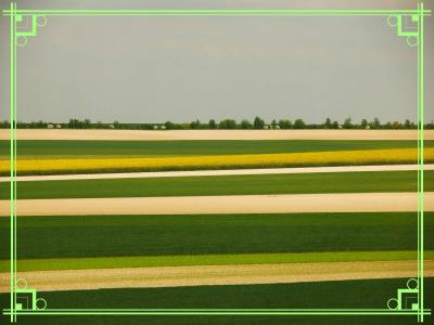 ロココ調の豪奢な広場を見たい！ナンシーへ！⑦　～午前中２時間ほど・・・ナンシーを名残惜しむ・・・～