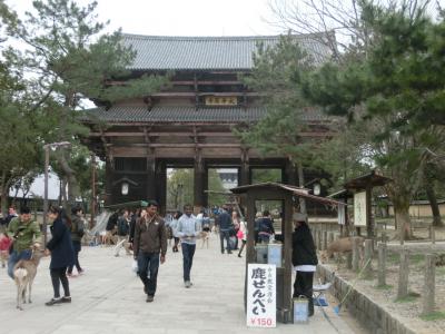 春の訪れを感じる関西散策　～奈良編～