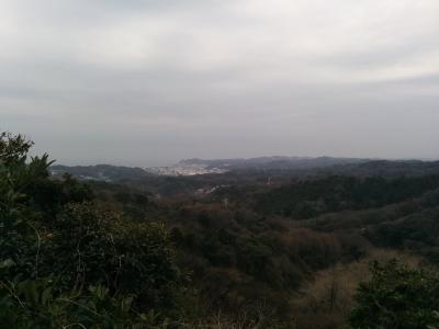 花粉の季節　天園ハイキング（鎌倉アルプス）