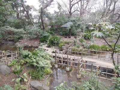 旧中山道と旧日光御成道を歩く　その2(名主の滝公園など)