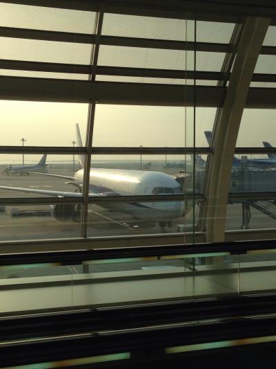 目指せANA　上級会員　SFCカード取得　修行の旅5回目