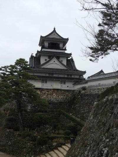 城好きな主人と春の高知城に行ってきました