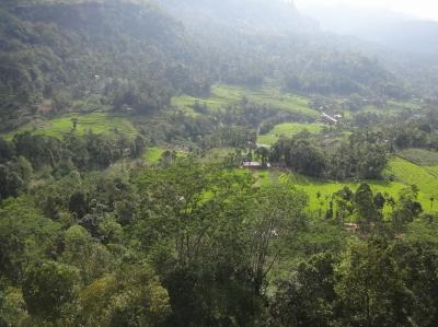 高原の避暑地、紅茶の産地でスリランカ最後の日を楽しむ