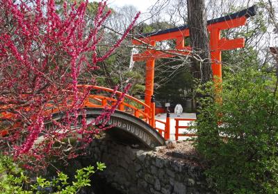 京都に春がきたぁ♪ (前篇) ◇ 数時間ばかりの“里帰り”～出町柳から下鴨神社へ