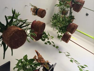 初Airbnbでブラジル旅行