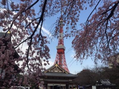 桜の開花日を楽しむ、えい、えい、おー。、の昔活躍した勝鬨橋（かちどきばし）等　in 東京散歩　−　３月　２０１５年