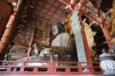 旅するイルカ♪　奈良県へ　色々行って来ました