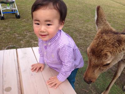 奈良公園へ