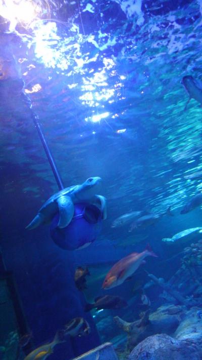 しながわ水族館