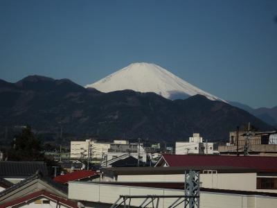 早春のシダンゴ山を歩く　　（忘れ物のストックを拾って 　持ち主に返しました！）