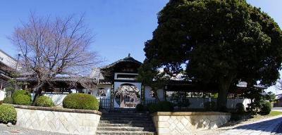 名古屋市昭和区・香積院(こうじゃくいん)・しだれ桜
