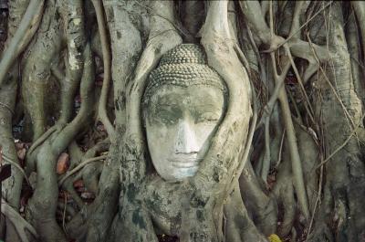 女子旅?タイランド