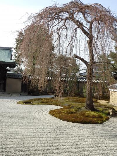ひとり旅④　清水寺、高台寺、圓徳院、知恩院、建仁寺から東寺。大阪泊。