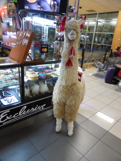 新婚旅行で南米へ　１０日目☆ウユニ