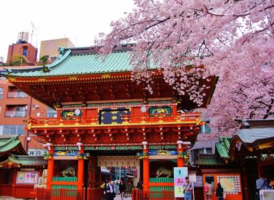 東京ぶらり散歩　～桜を求めて御茶ノ水から上野へ　お花もいいけどスイーツも♪　【神田明神編】～