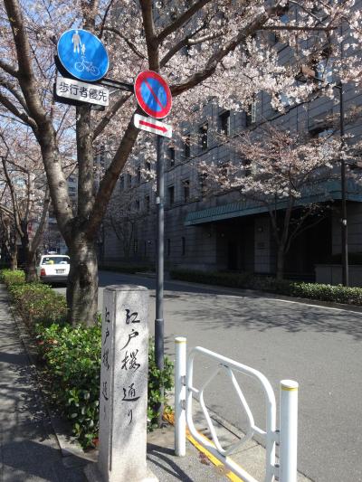 東京駅周辺でランチ＆日本橋桜フェスティバルをお散歩♪