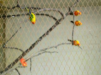 クアラルンプール1の観光スポット