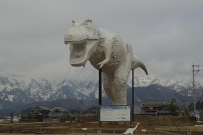 北陸新幹線開業しても、まだ先の福井へ、ＡＮＡのマイレージで　：　　恐竜博物館・永平寺編