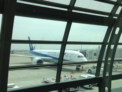 目指せANA　上級会員　SFCカード取得　修行の旅６回目