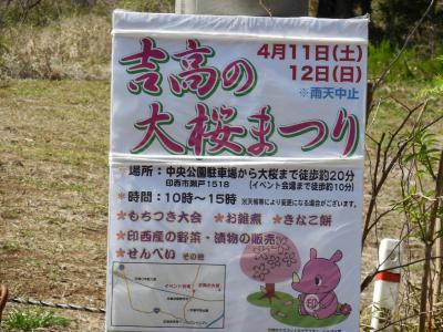 吉高の大桜を見に行きましたが・・・