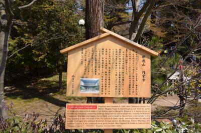 北鎌倉~鎌倉までの春の散歩