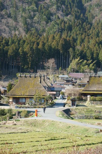 茅葺屋根が並ぶ春の美山町へ～日本の原風景を訪ねて～１日目