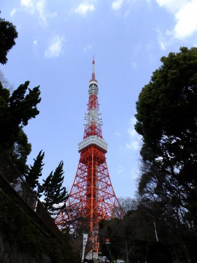 行き当たりばったり、東京、乗り換えがよくわからなかった旅②