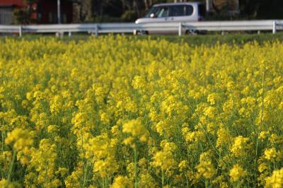 鴨川シーワールドふたり旅