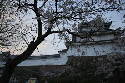 旅するイルカ♪　桜だより　2015　Part3　和歌山城へ
