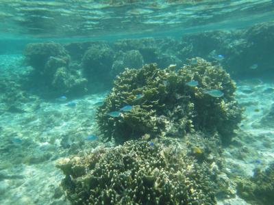 1泊２日で宮古島