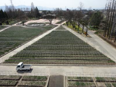 砺波チューリップ公園