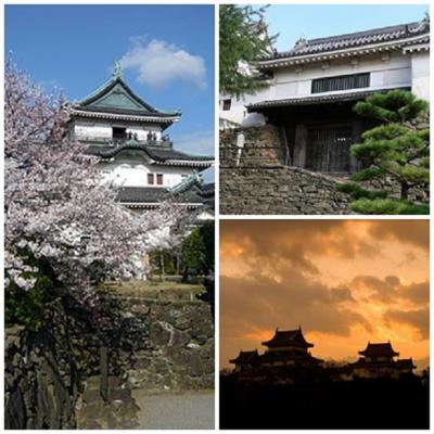 はるばると東京から和歌山へ ー 留学生と会い、和歌山城で夜桜見学