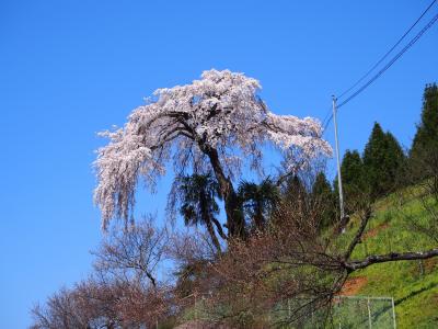 奈良県吉野郡の下市町へ