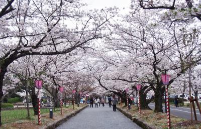 大村公園　