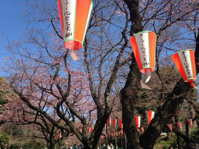 上野恩賜公園桜まつりと鉄火丼!!