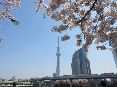 2015春 三世代　桜　スカイツリー散策