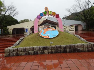 雨の動物園と桜　①