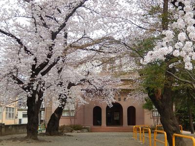 富岡市の桜のある風景