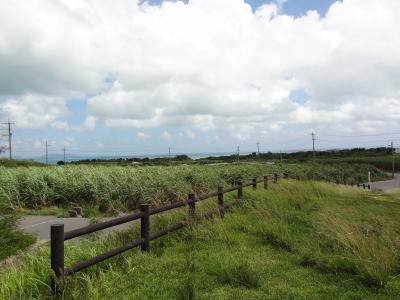 沖縄離島＆本島ちゅら旅⑤☆3日目～西表島から小浜島編～