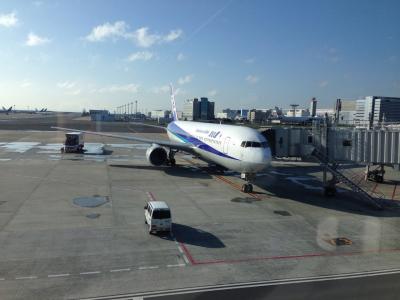 目指せANA　上級会員　SFCカード取得　修行の旅Final&石垣島家族旅行 １日目