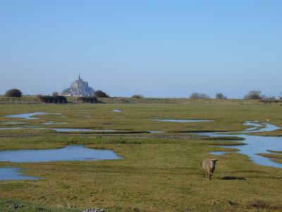 モンサンミシェル 車で見に行った