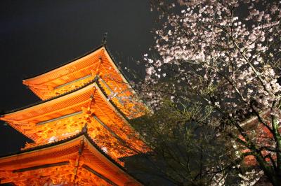 2015年4月♪春の京都 一日目(二条城・八坂神社・高台寺・清水寺etc)
