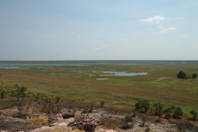 ダーウィン【7日目】Ⅰ