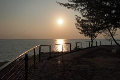 ダーウィン【7日目】Ⅱ